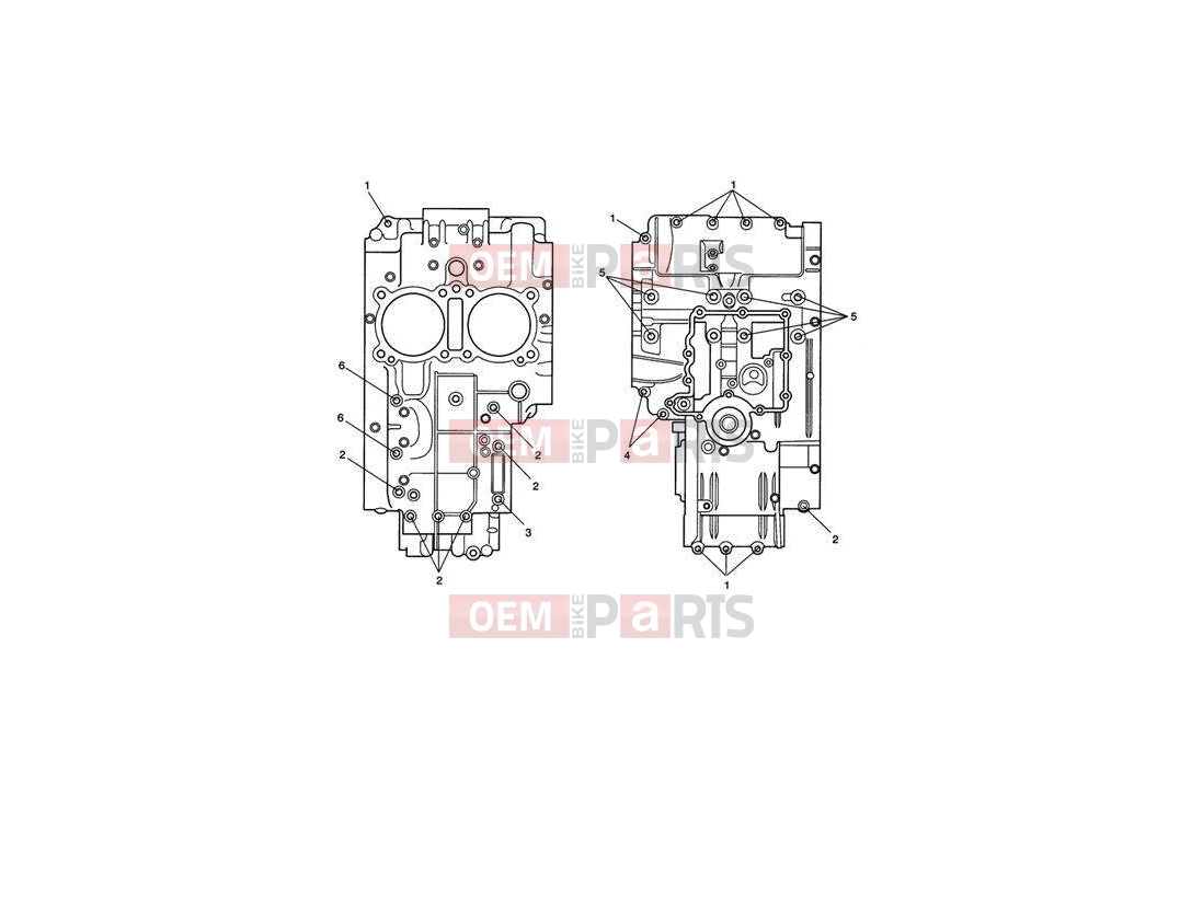 Triumph 2007 SPEEDMASTER EFI Crankcase Bolts