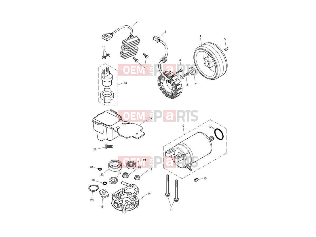 Triumph 2010 SPEEDMASTER EFI Starter & Alternator