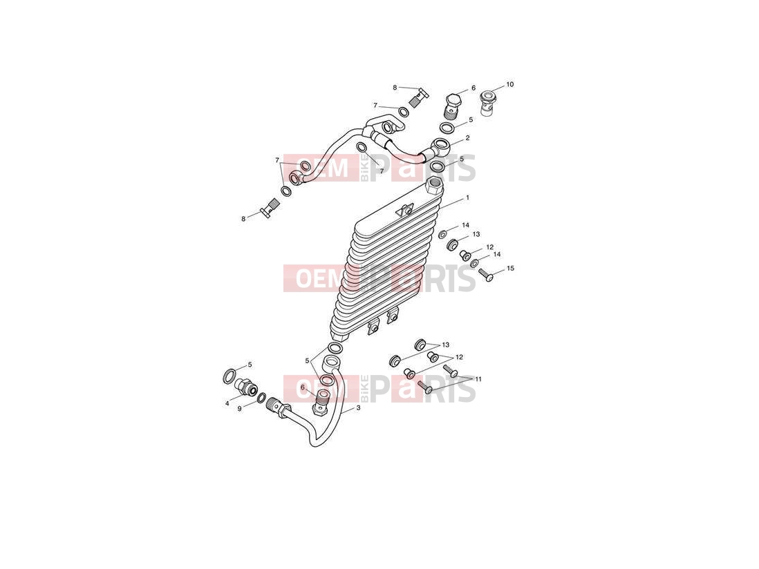Triumph 2013 SPEEDMASTER EFI Oil Cooler