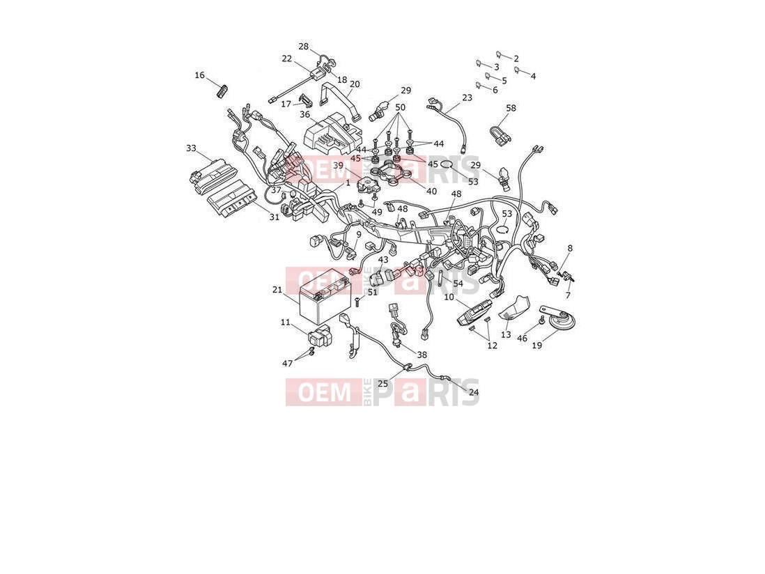 Triumph 2020 TIGER 900 GT Electrical System