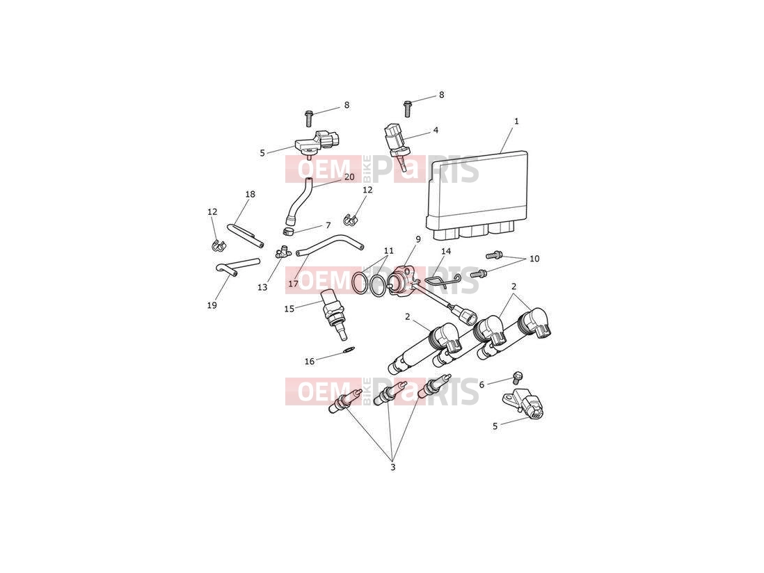 Triumph 2021 TIGER 900 GT Engine Management System
