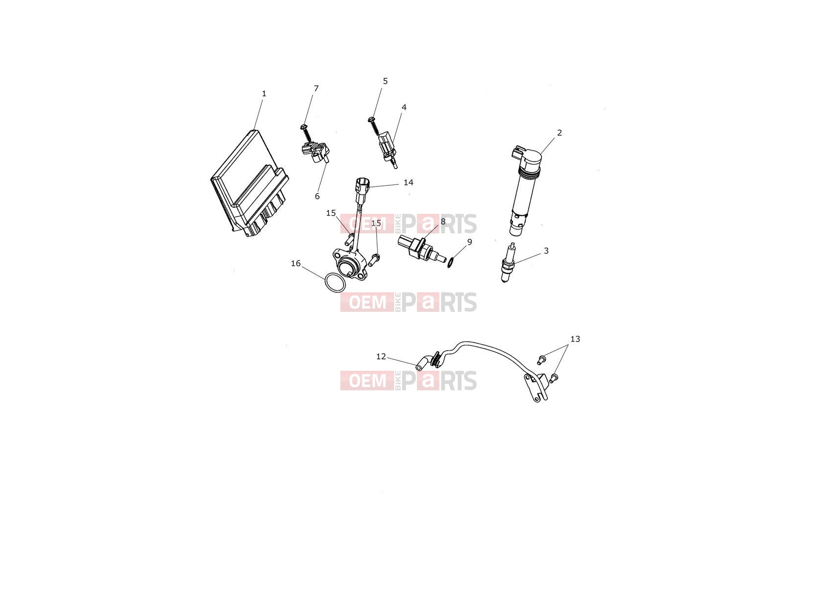 Triumph 2021 TIGER 1200 XCA Engine Management System