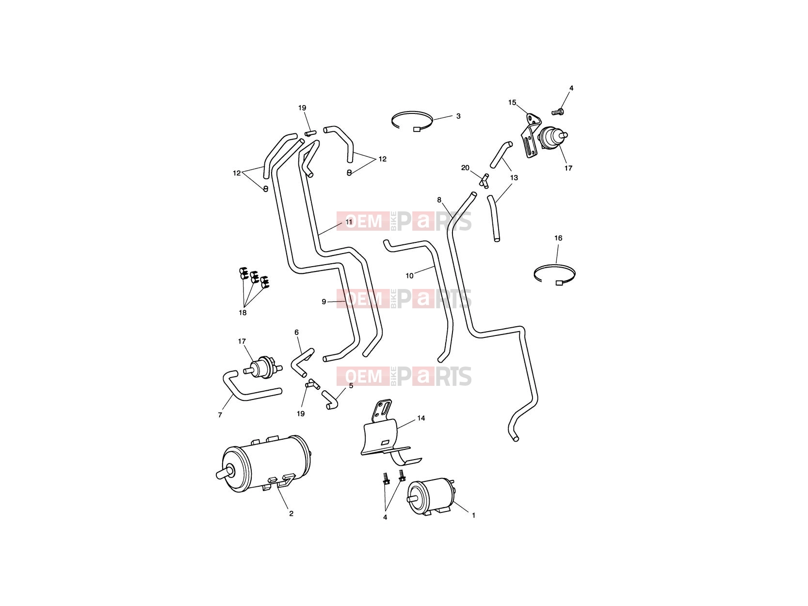 Triumph 2006 SCRAMBLER CARB Evaporative Loss Control System