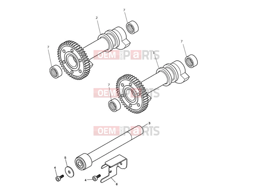 Triumph 2006 SCRAMBLER CARB Balancer