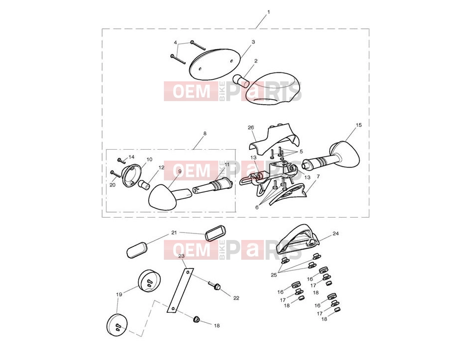 Triumph 2014 SCRAMBLER EFI Rear Light & Rear Indicators