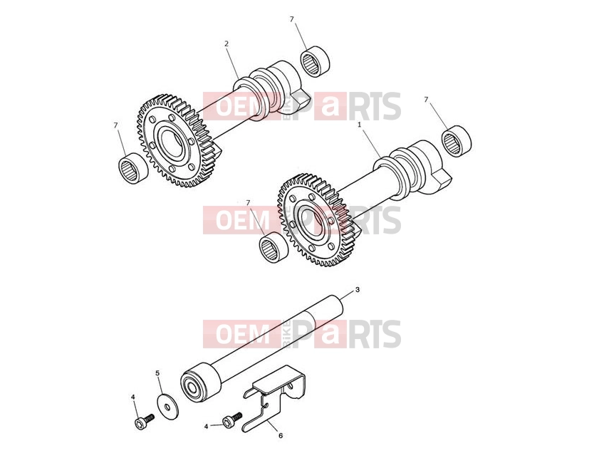 Triumph 2007 SCRAMBLER EFI Balancer