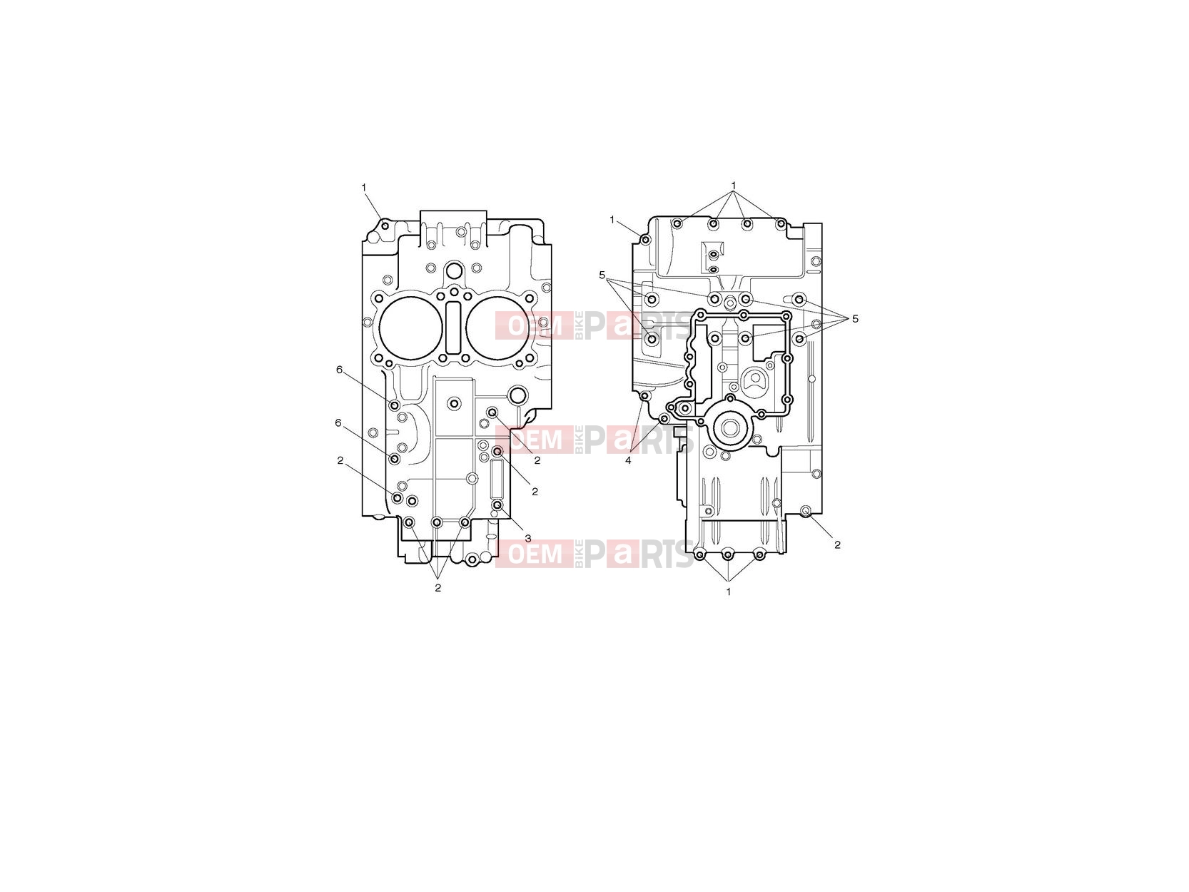 Triumph 2013 SCRAMBLER EFI Crankcase Bolts