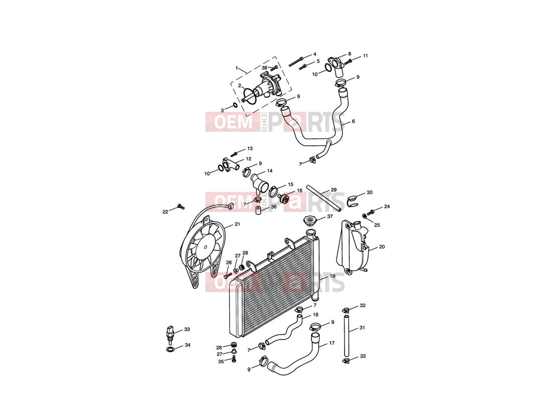 Triumph 2000 TT600 Cooling System