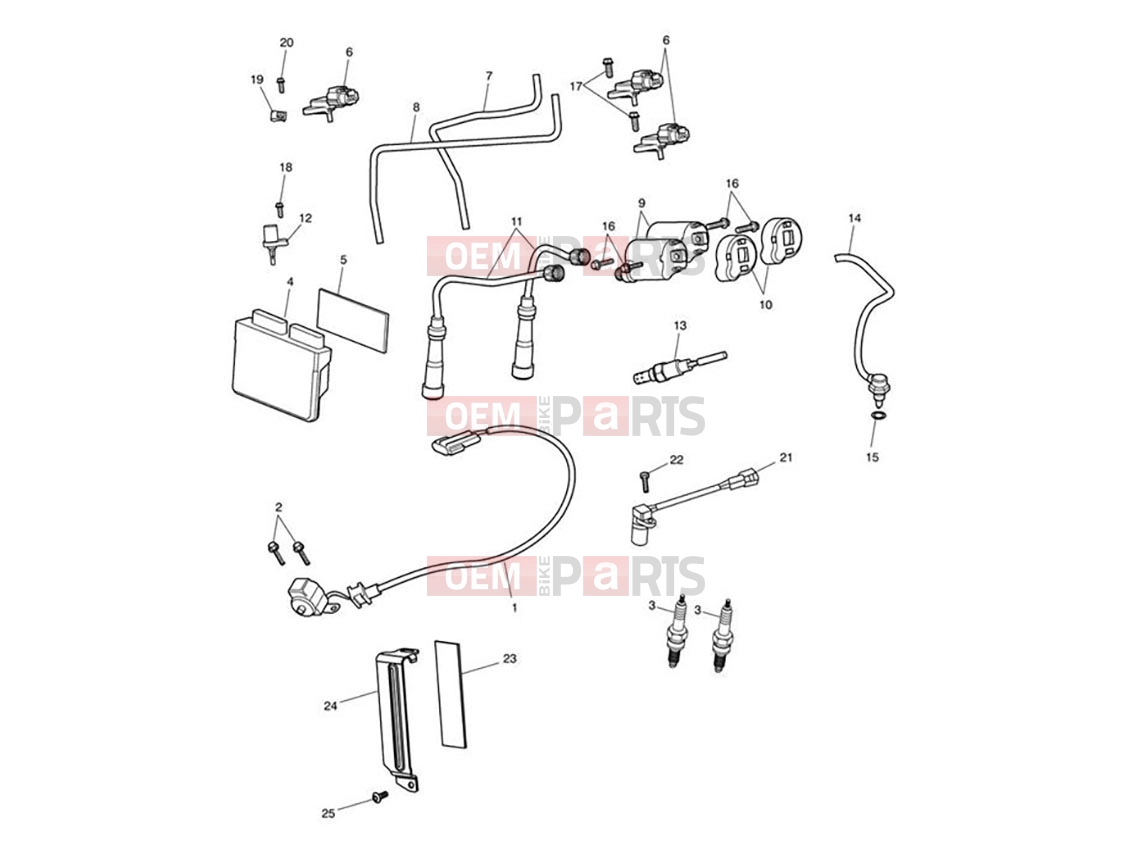 Triumph 2009 AMERICA EFI Engine Management System