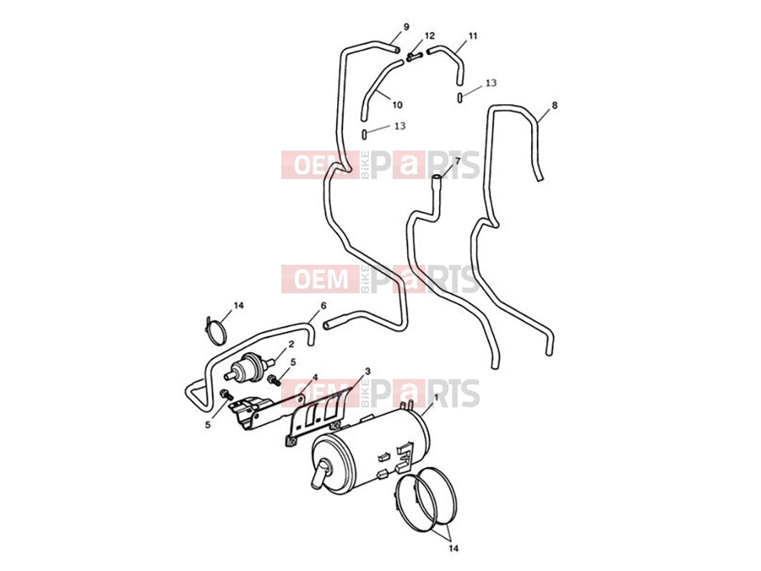 Triumph 2012 AMERICA EFI Evaporative Loss Control System