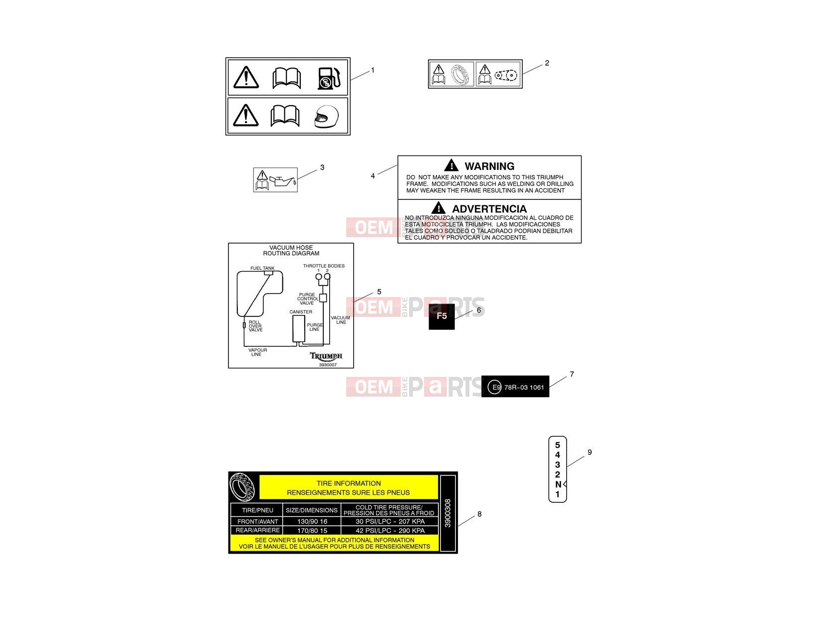 Triumph 2013 AMERICA EFI Warning Labels