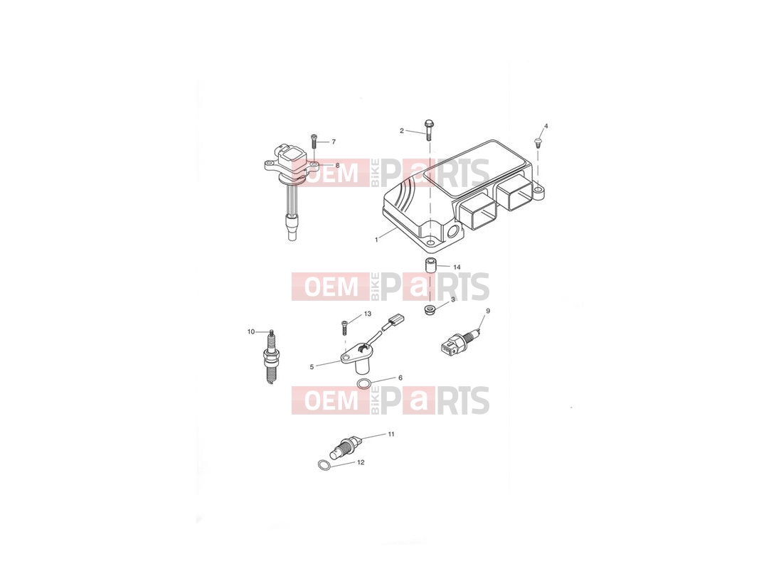 Triumph 2005 TIGER 955i 198875 > Engine Management System