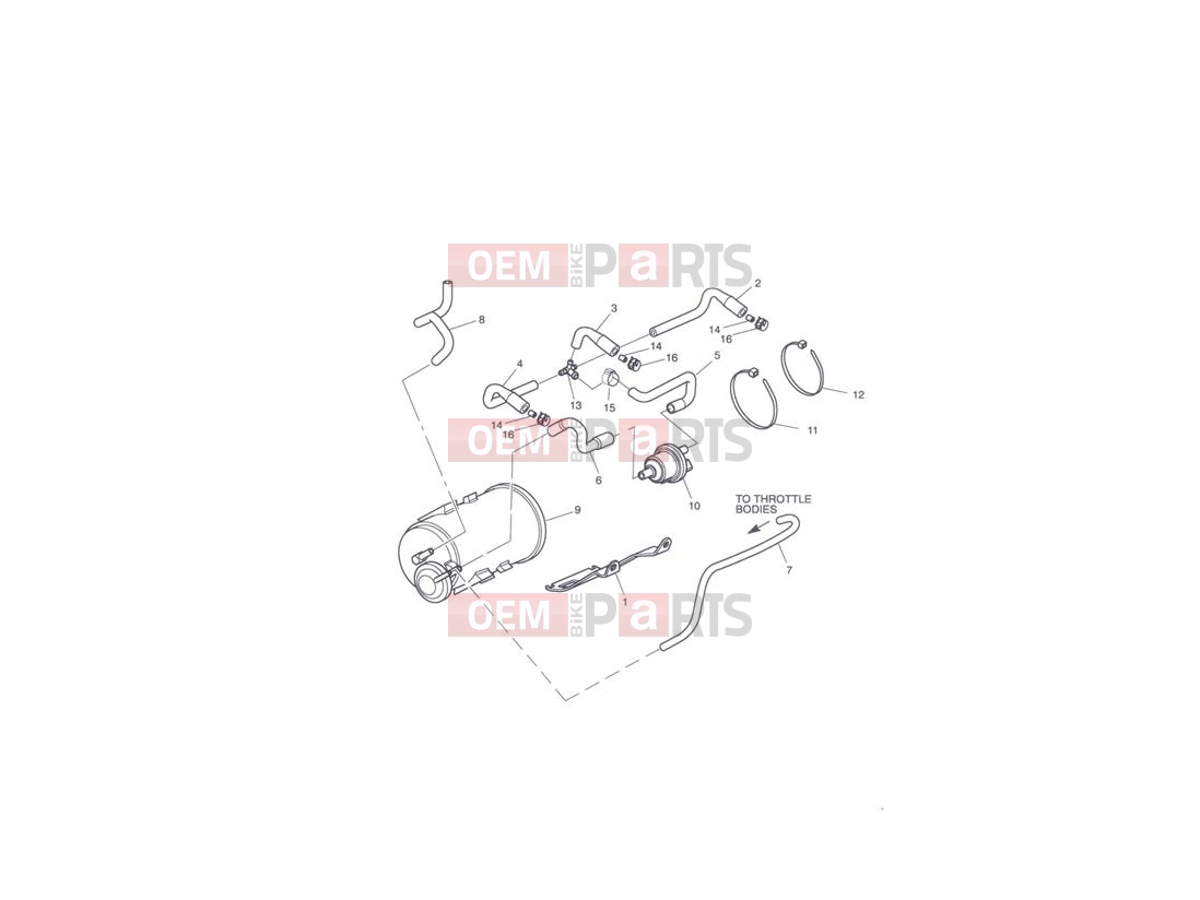 Triumph 2012 Tiger 1050 Evaporative Loss Control System