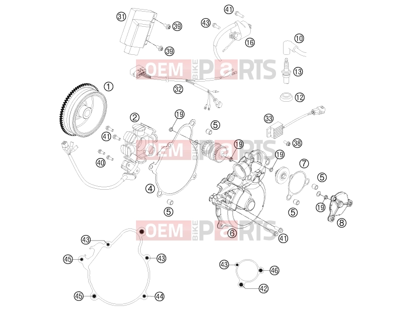 HUSABERG 2012 Offroad TE 300 (2403L9) [EU] IGNITION SYSTEM|Engine|39