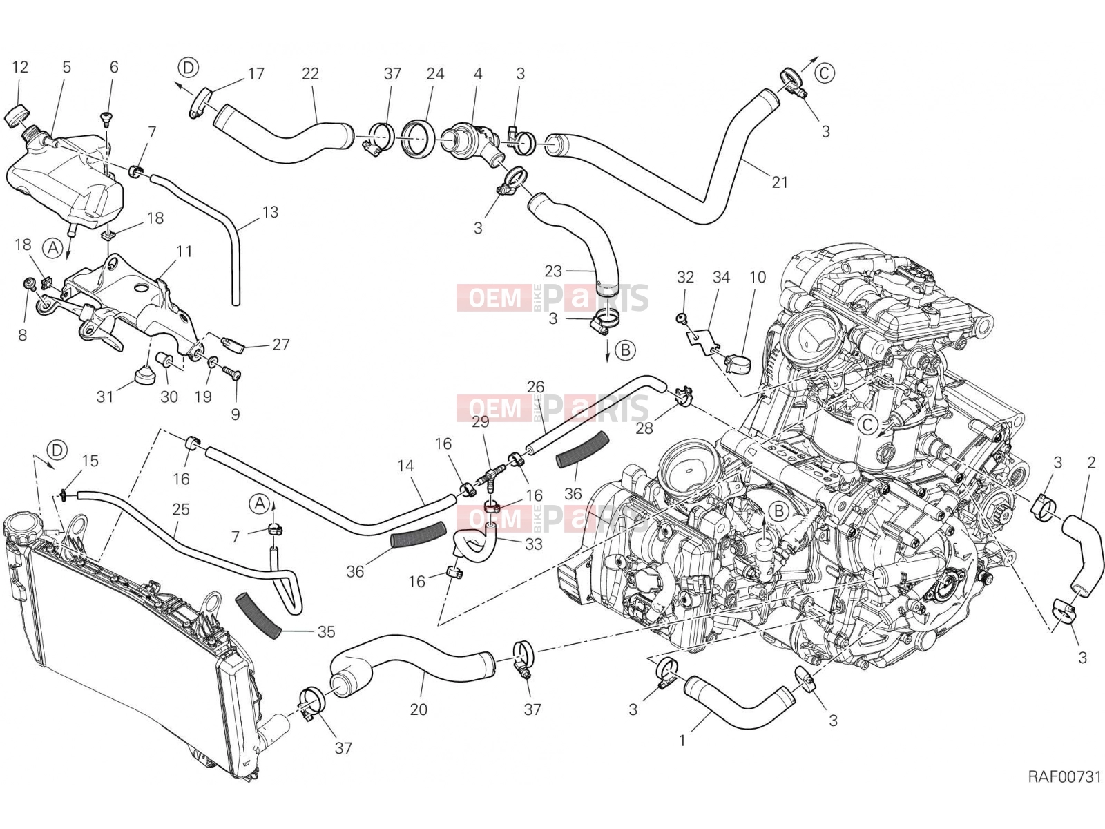 DUCATI 2023 Monster Plus COOLING CIRCUIT