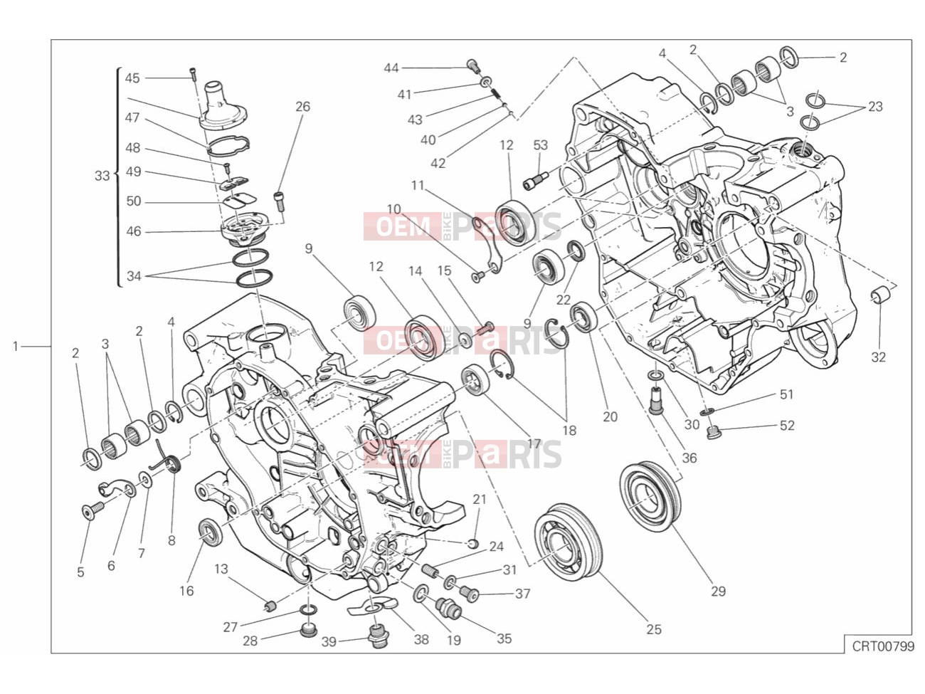 DUCATI 2019 Scrambler Icon HALF-CRANKCASES PAIR
