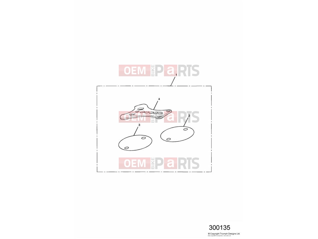Triumph 1995 THUNDERBIRD Instrument Plate Kit