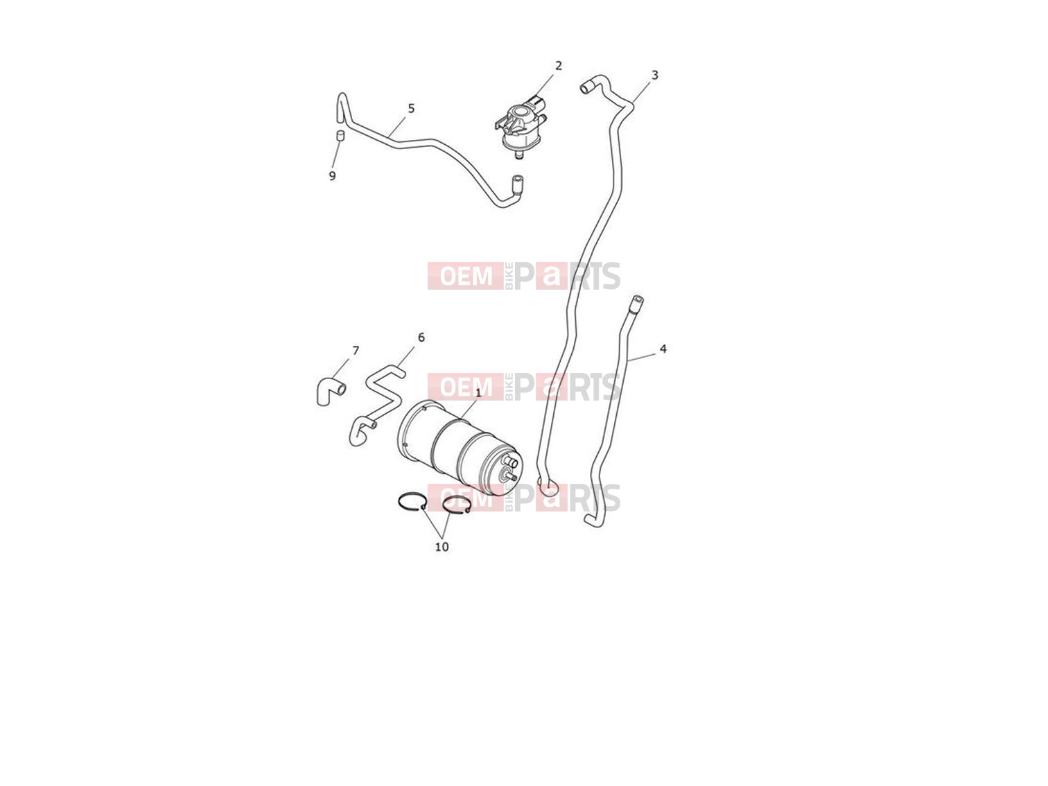 Triumph 2022 Scrambler 1200 XE Evap System