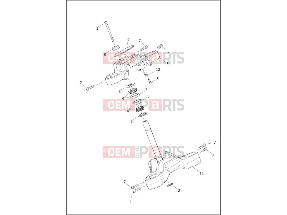 Harley-Davidson 2020 SOFTAIL SOFTAIL FXDR 114  - FXDRS FORK BRACKETS, FRONT