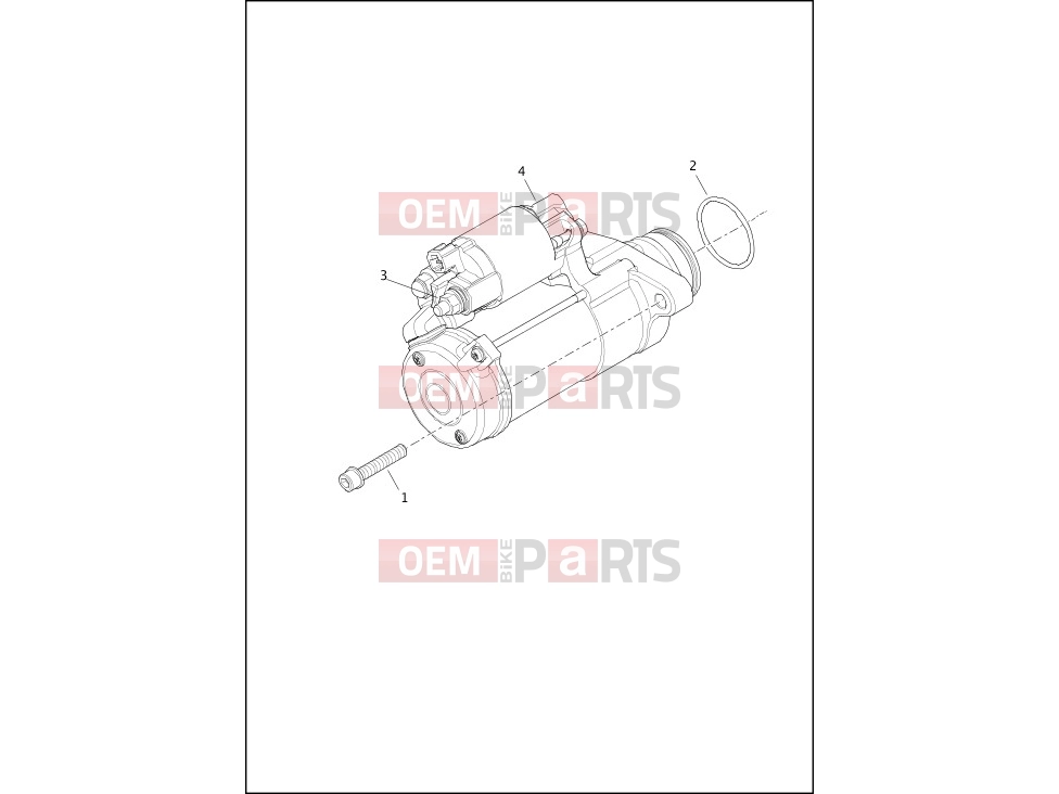Harley-Davidson 2020 SOFTAIL SOFTAIL FXDR 114  - FXDRS STARTER MOTOR