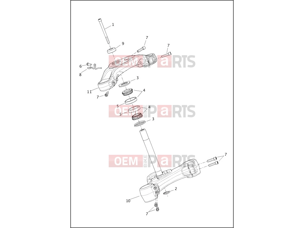 Harley-Davidson 2018 SOFTAIL SOFTAIL SLIM  - FLSL FORK BRACKETS, FRONT - FXBR, FXBRS