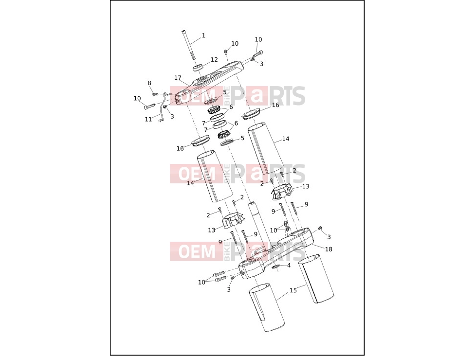 Harley-Davidson 2018 SOFTAIL SOFTAIL BREAKOUT  - FXBR FORK BRACKETS, FRONT - FLSL