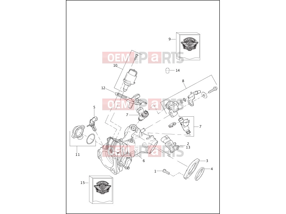 Harley-Davidson 2013 SOFTAIL FAT BOY  - FLSTF INDUCTION MODULE, FUEL