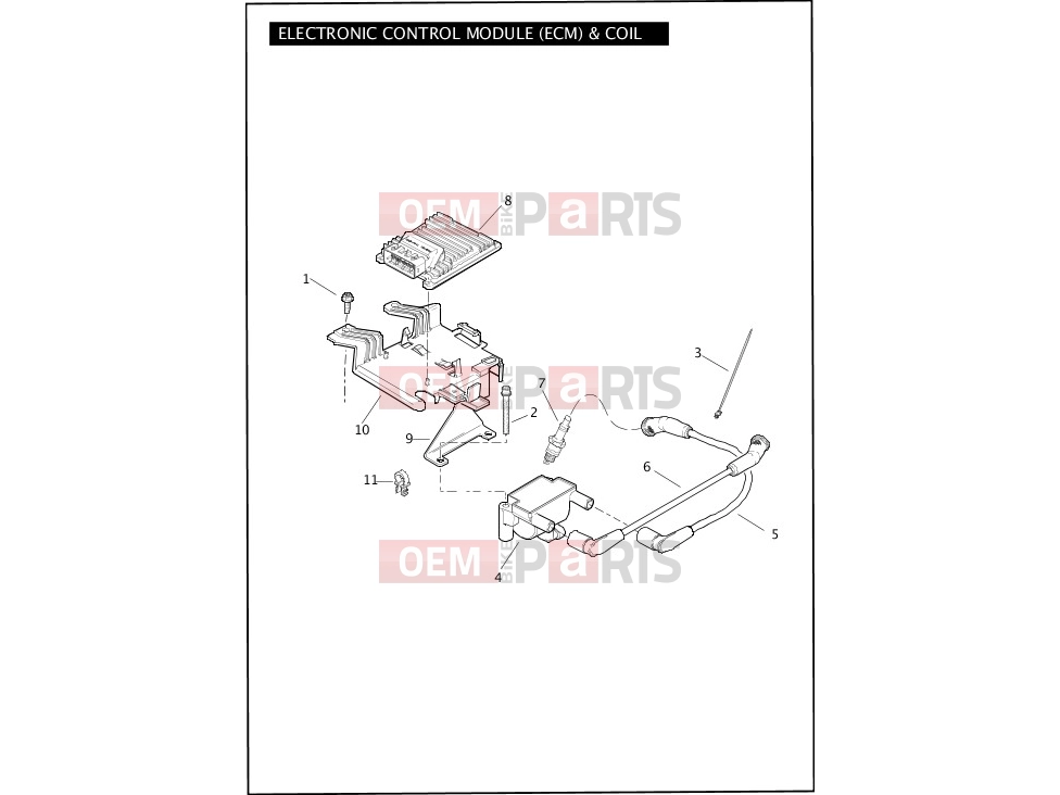 Harley-Davidson 2012 TOURING ROAD KING  - FLHR ELECTRONIC CONTROL MODULE (ECM) & COIL
