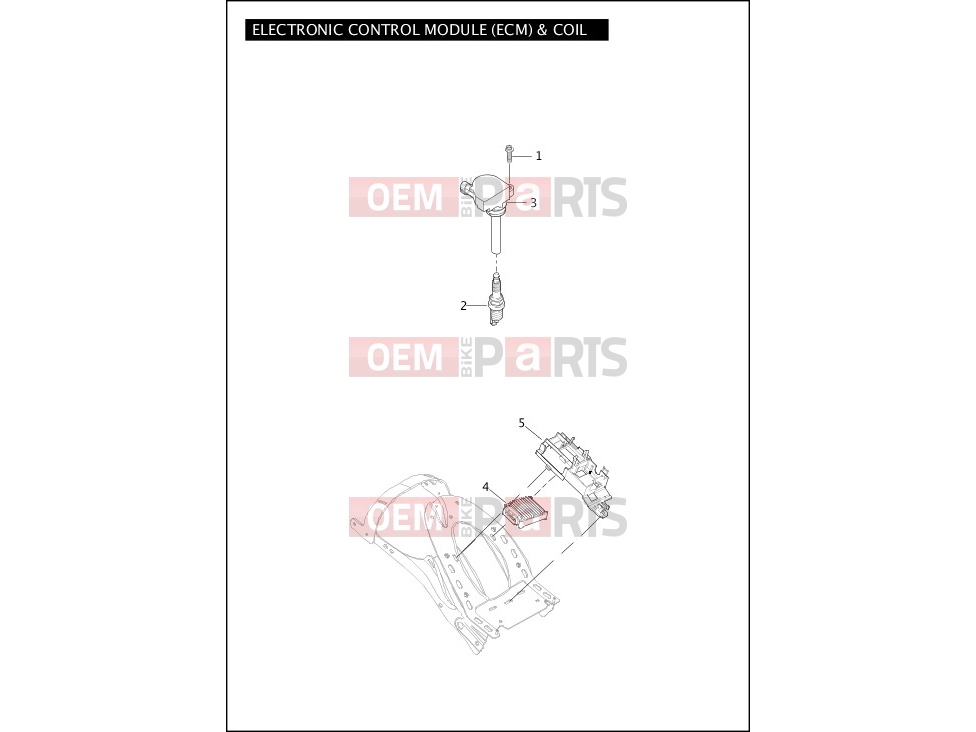 Harley-Davidson 2012 VRSC V-ROD MUSCLE  - VRSCF ELECTRONIC CONTROL MODULE (ECM) & COIL