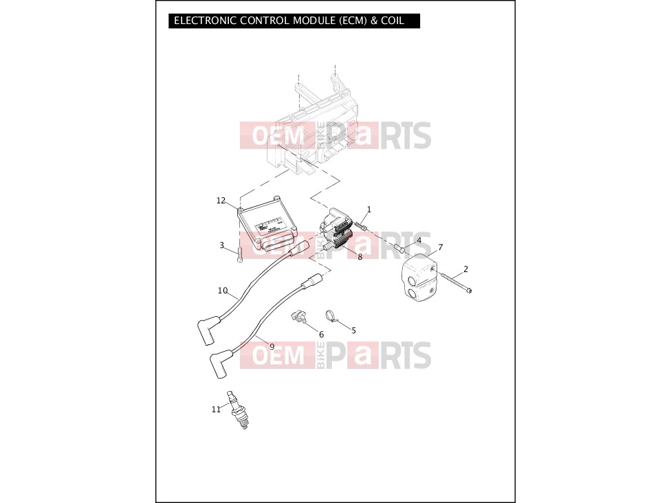 Harley-Davidson 2011 DYNA DYNA WIDE GLIDE  - FXDWG ELECTRONIC CONTROL MODULE (ECM) & COIL