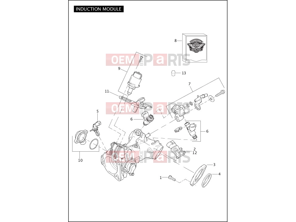 Harley-Davidson 2011 SOFTAIL BLACKLINE  - FXS INDUCTION MODULE, FUEL