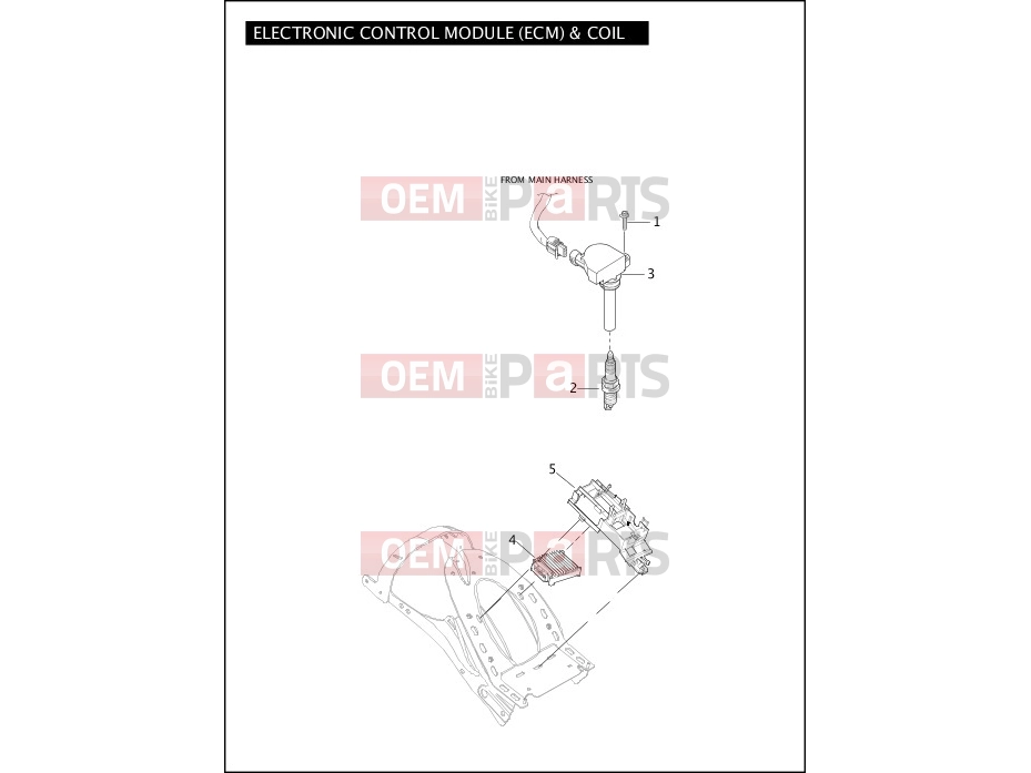 Harley-Davidson 2011 VRSC V-ROD MUSCLE  - VRSCF ELECTRONIC CONTROL MODULE (ECM) & COIL