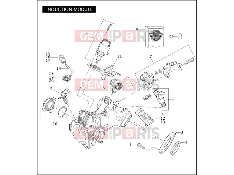 Harley-Davidson 2009 DYNA DYNA LOW RIDER  - FXDL INDUCTION MODULE