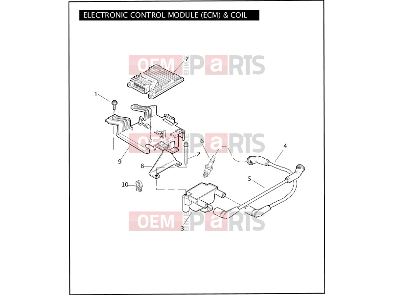 Harley-Davidson 2009 TOURING ULTRA CLASSIC  - FLHTCU ELECTRONIC CONTROL MODULE (ECM) & COIL