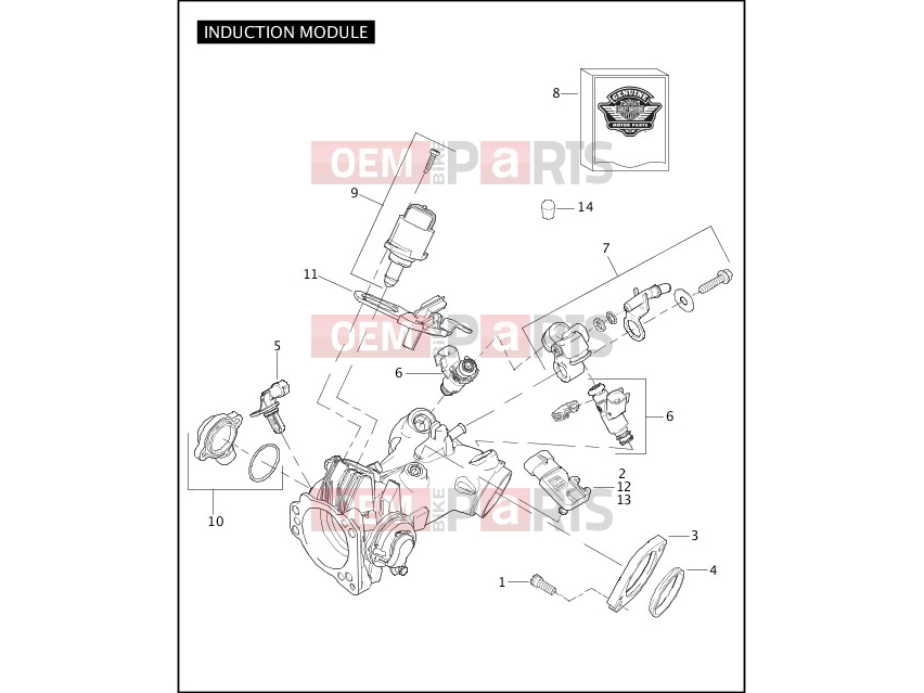 Harley-Davidson 2008 SOFTAIL ROCKER  - FXCW INDUCTION MODULE