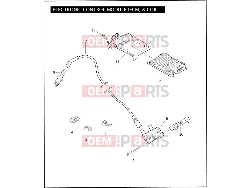Harley-Davidson 2008 TOURING ULTRA CLASSIC  - FLHTCU ELECTRONIC CONTROL MODULE (ECM) & COIL