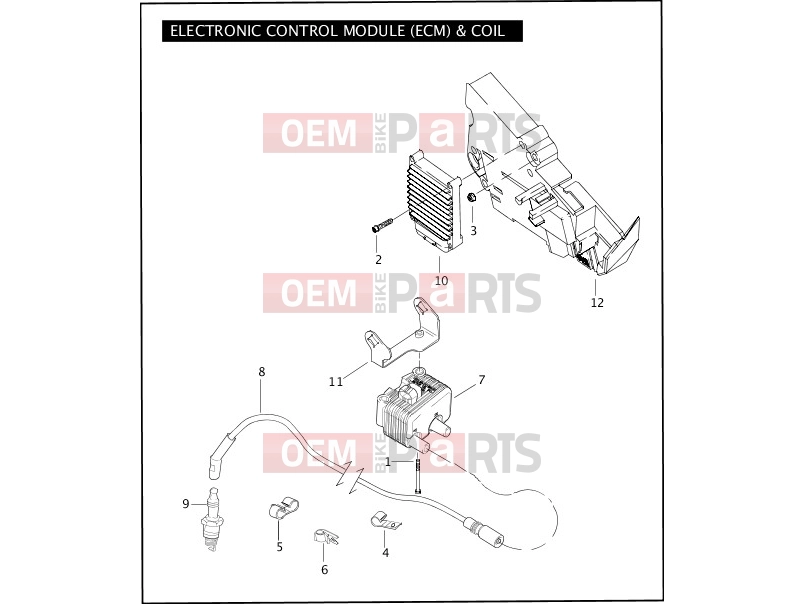 Harley-Davidson 2007 TOURING ULTRA CLASSIC  - FLHTCU ELECTRONIC CONTROL MODULE (ECM) & COIL