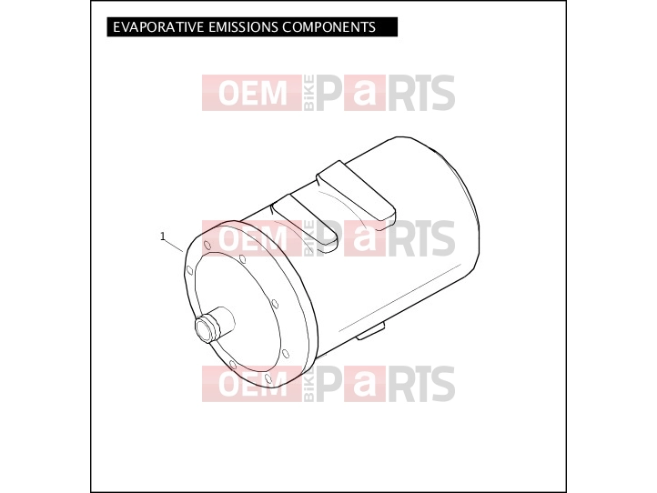 Harley-Davidson 2005 SOFTAIL NIGHT TRAIN  - FXSTB EVAPORATIVE EMISSIONS COMPONENTS