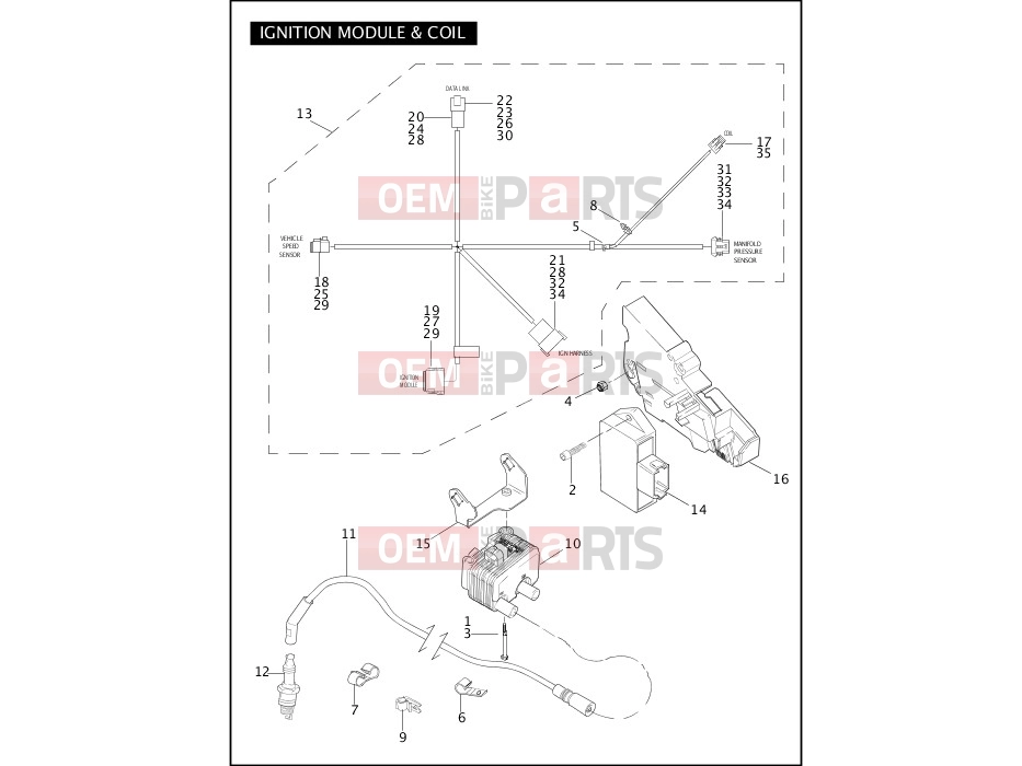 Harley-Davidson 2005 TOURING ELECTRA GLIDE CLASSIC  - FLHTC IGNITION MODULE & COIL