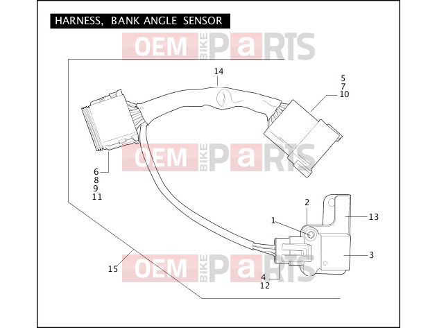 Harley-Davidson 2005 TOURING ELECTRA GLIDE CLASSIC  - FLHTCI HARNESS, BANK ANGLE SENSOR