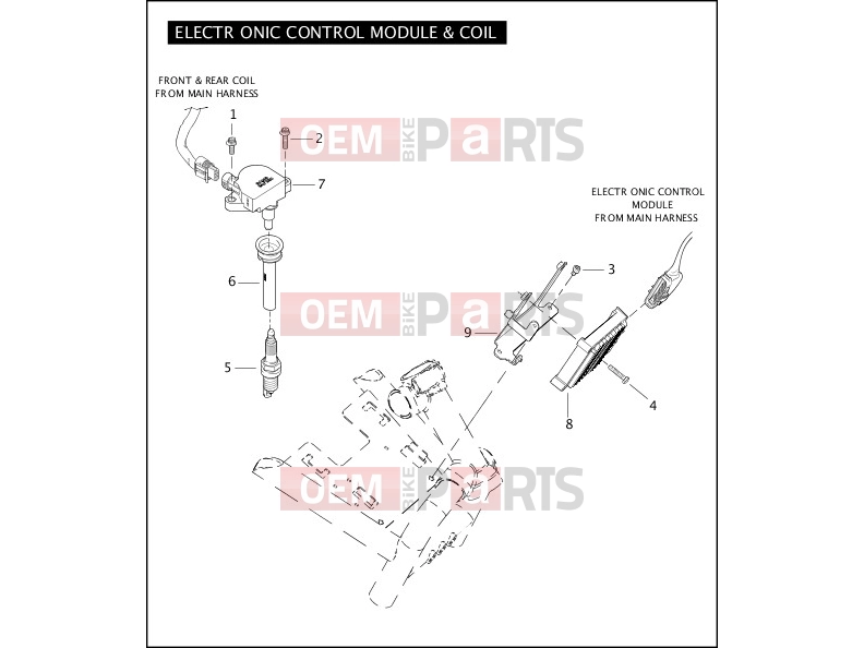 Harley-Davidson 2005 VRSC VRSCA V-ROD  - VRSCA ELECTRONIC CONTROL MODULE & COIL