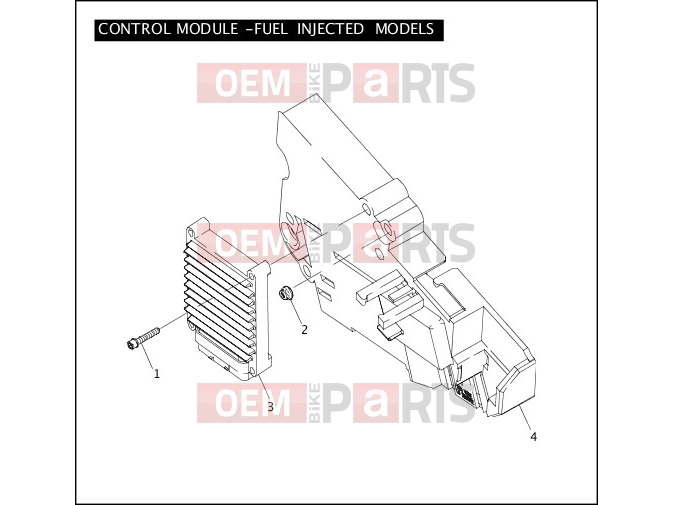 Harley-Davidson 2004 SIDECAR FLHTC SIDECAR  - SIDECAR FOR FLHTC CONTROL MODULE - FUEL INJECTED MODELS