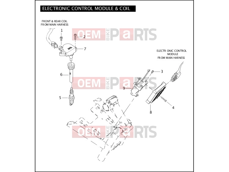 Harley-Davidson 2004 VRSC VRSCA V-ROD 98  - VRSCA 98 ELECTRONIC CONTROL MODULE & COIL