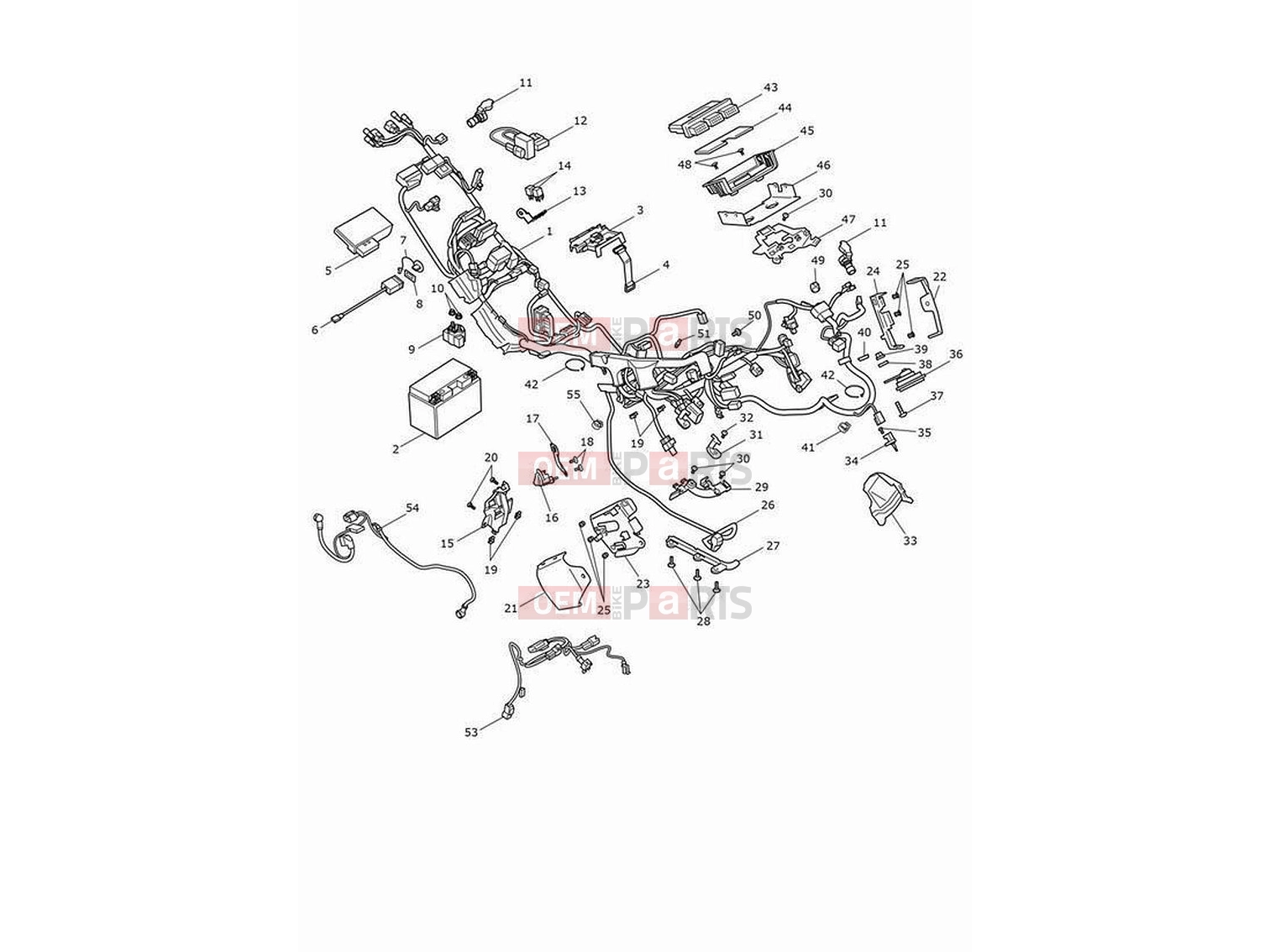 Triumph 2023 Tiger 1200 GT Pro Electrical systems