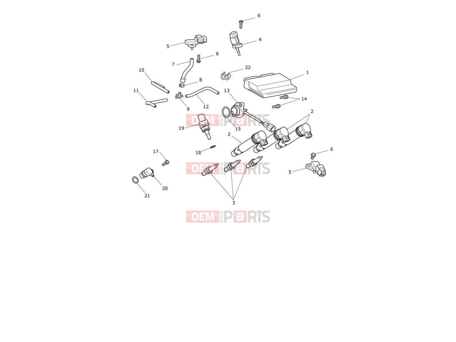 Triumph 2020 Daytona Moto2 765 Engine Management System