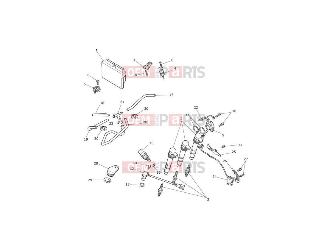 Triumph 2020 Tiger 800 XRT Engine Management System