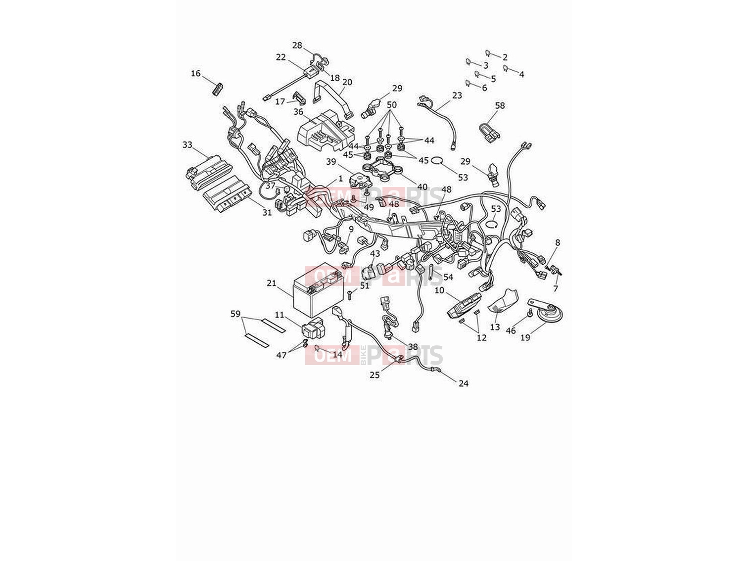 Triumph 2023 Tiger 900 GT Electrical system