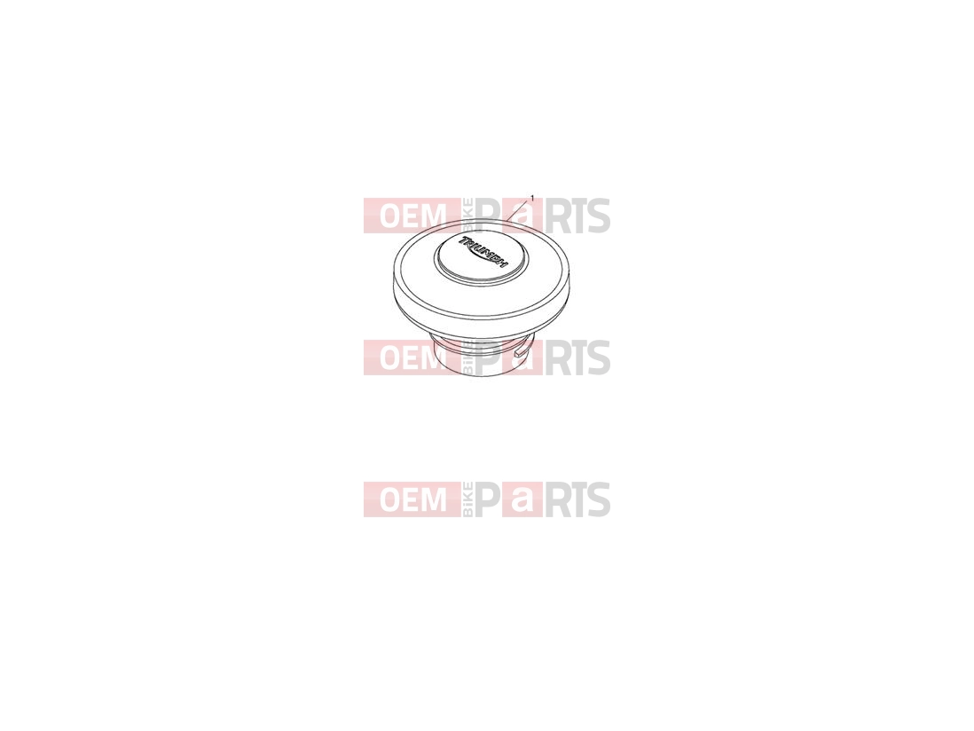 Triumph 2013 THUNDERBIRD Filler Cap, Fuel, Locking
