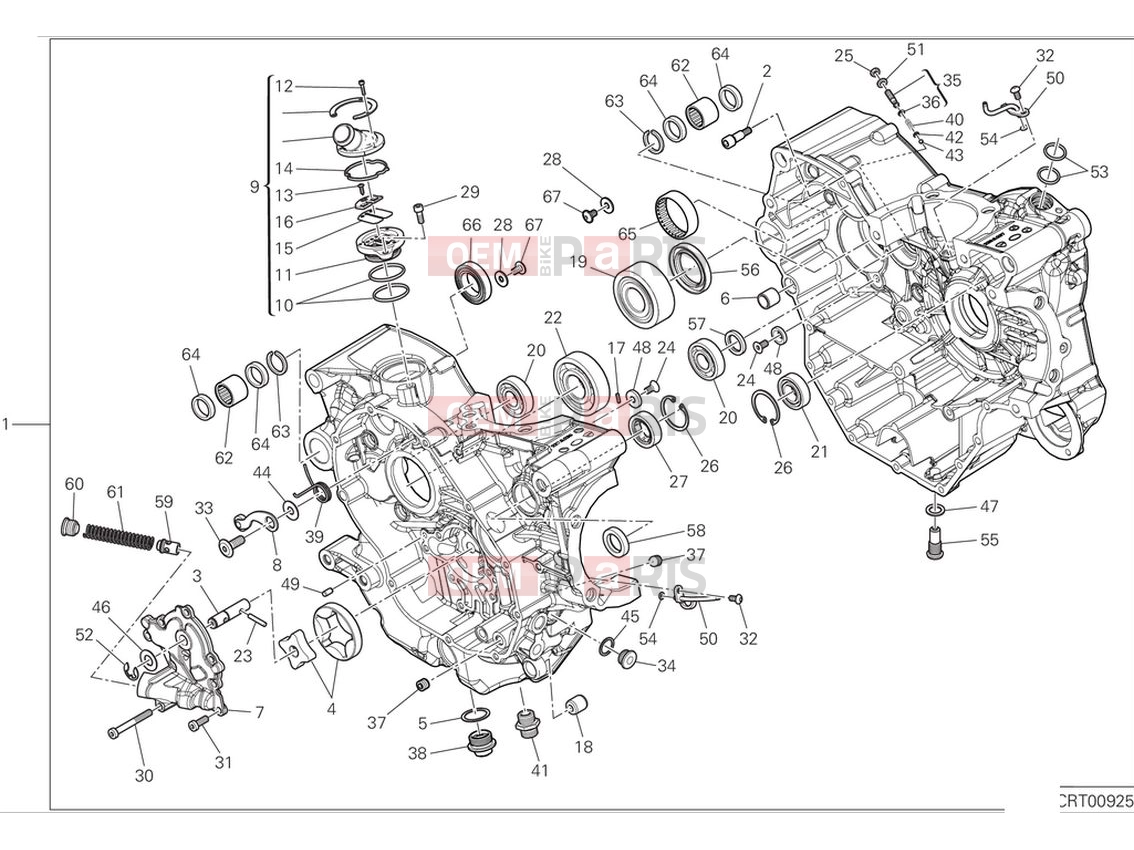 DUCATI 2024 DesertX Crankcase (1)