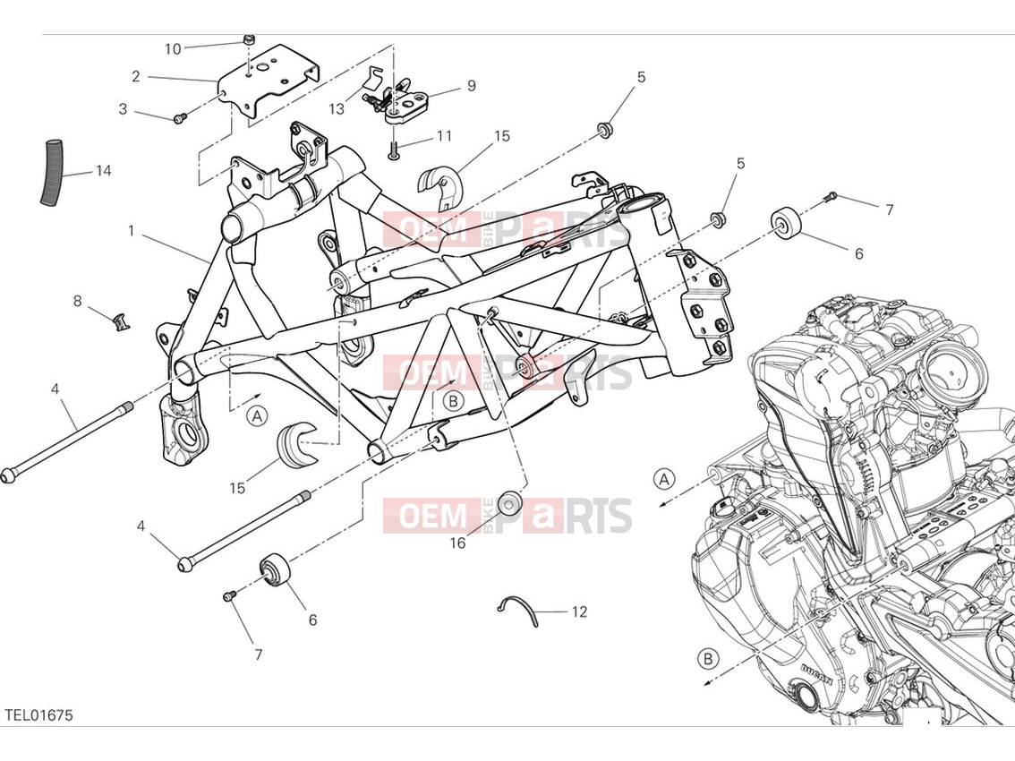 DUCATI 2024 DesertX Frame - white